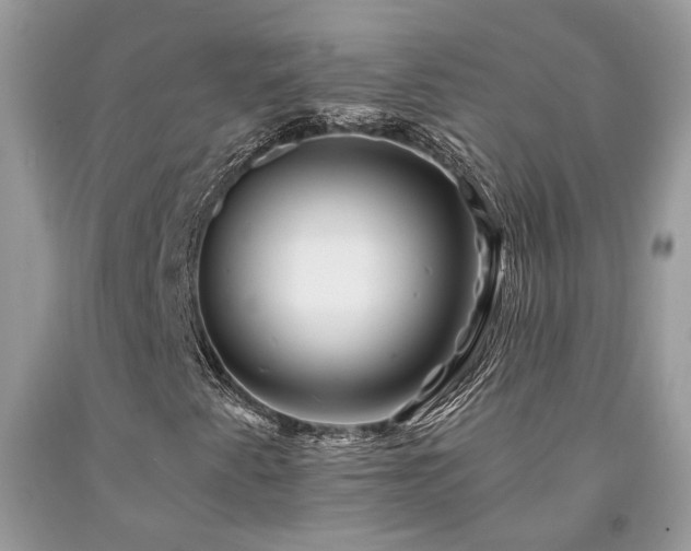 X0000094181345200710261122