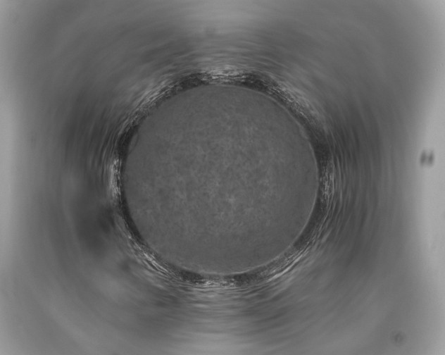 X0000094181346200710261122