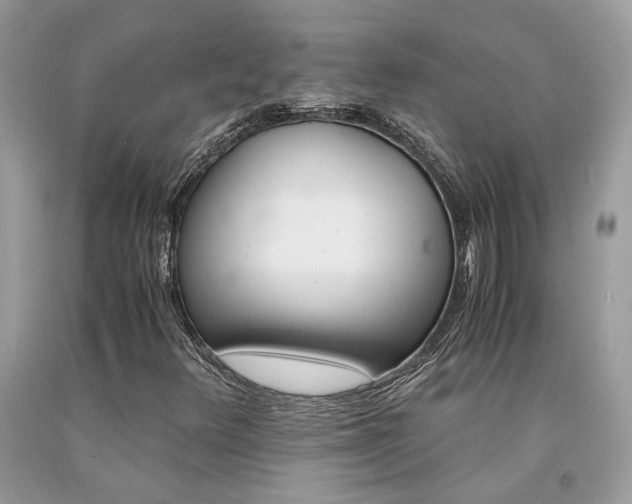 X0000094181348200710261122