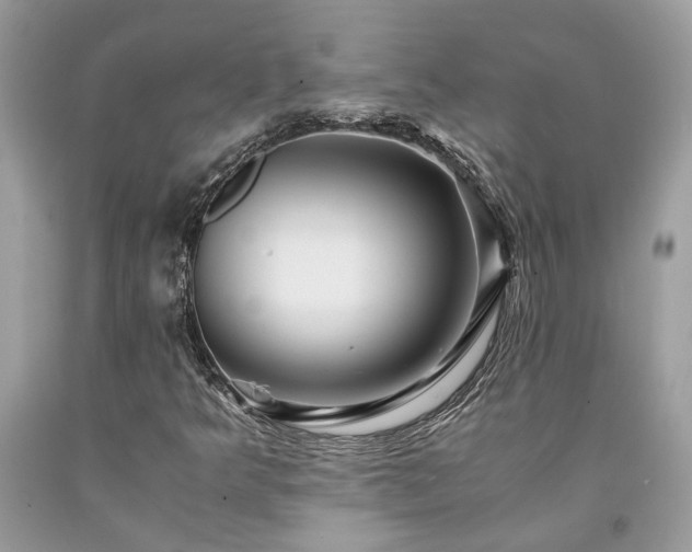 X0000094181349200710261122