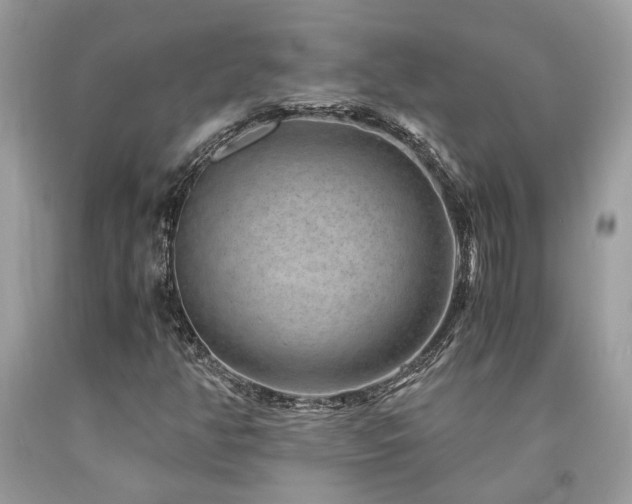 X0000094181350200710261122