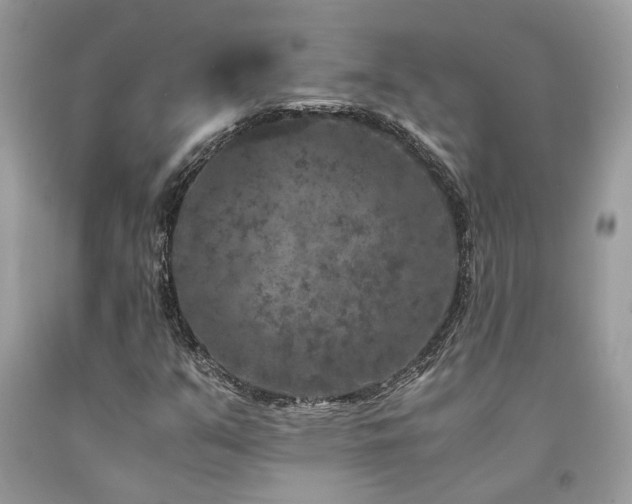 X0000094181351200710261122