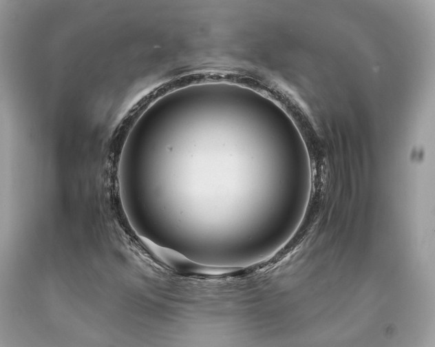 X0000094181352200710261122