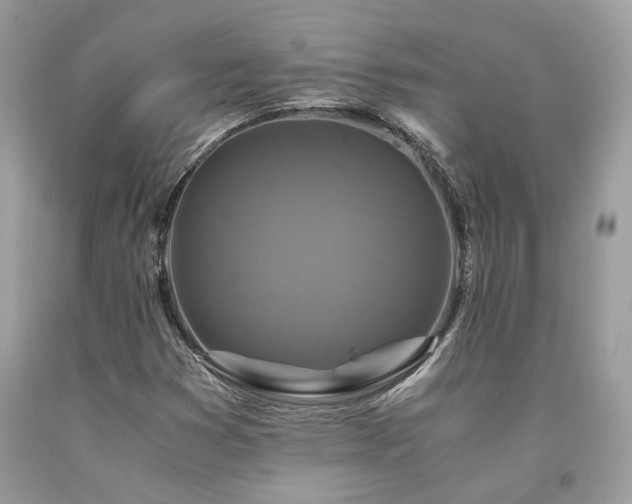 X0000094181353200710261122