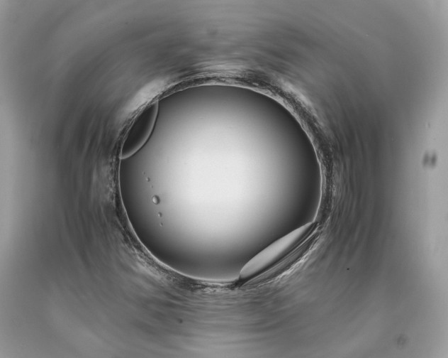 X0000094181354200710261122