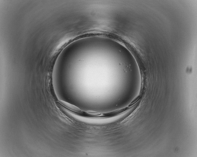 X0000094181355200710261122