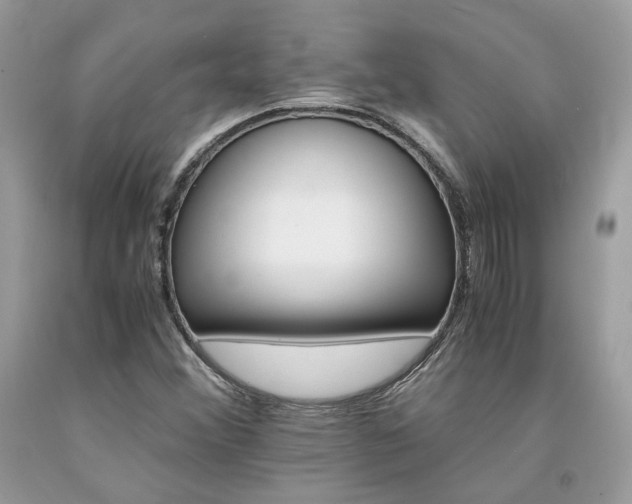 X0000094181356200710261122
