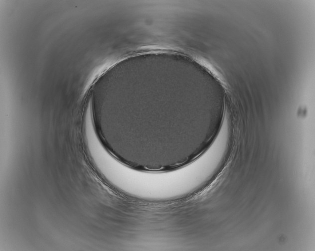 X0000094181357200710261122