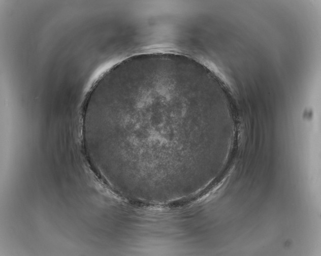 X0000094181358200710261122