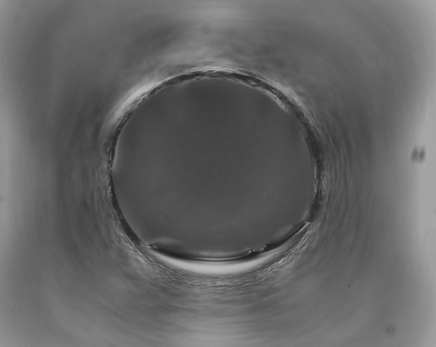 X0000094181359200710261122