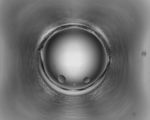 X0000094181360200710261122