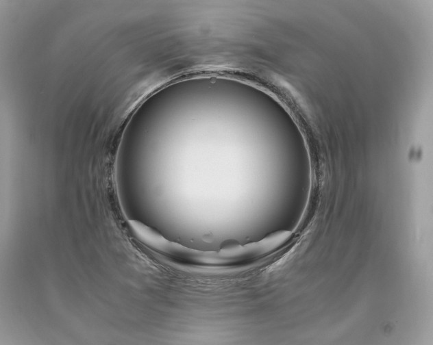 X0000094181361200710261122