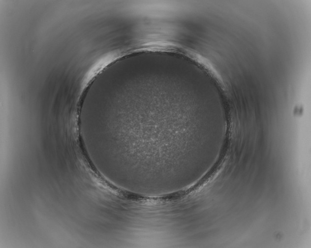 X0000094181362200710261122