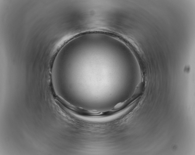 X0000094181363200710261122