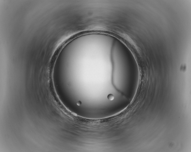 X0000094181364200710261122