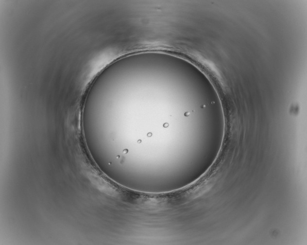X0000094181365200710261122