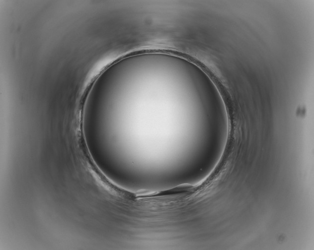 X0000094181366200710261122