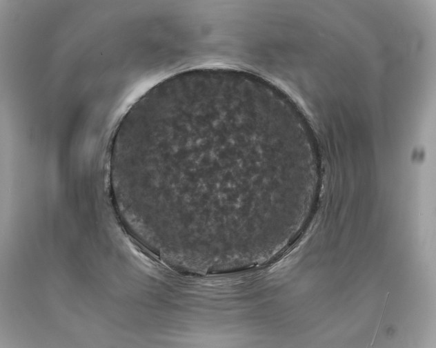 X0000094181367200710261122