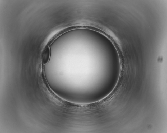 X0000094181368200710261122