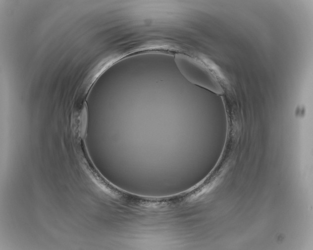 X0000094181369200710261122