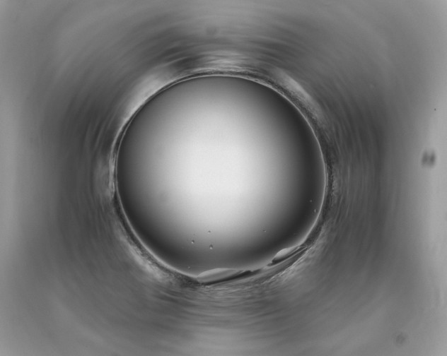 X0000094181370200710261122
