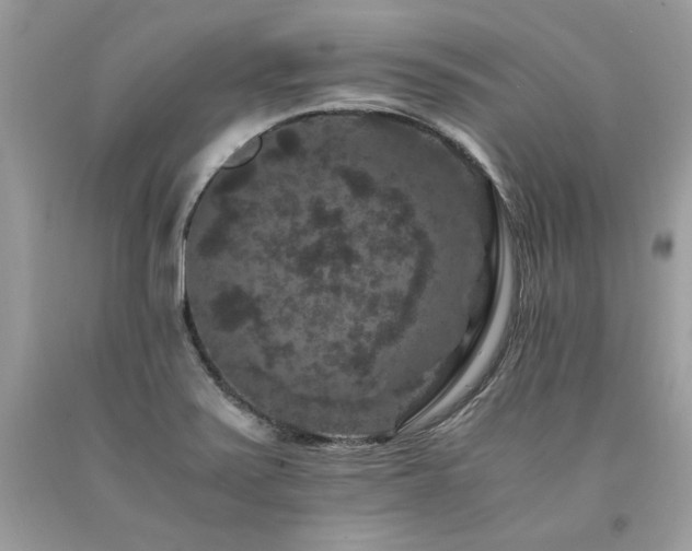 X0000094181371200710261122