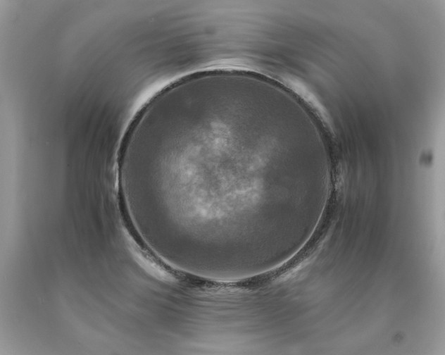 X0000094181372200710261122