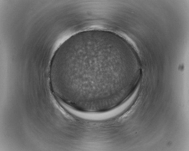 X0000094181373200710261122