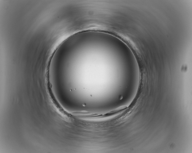 X0000094181375200710261122