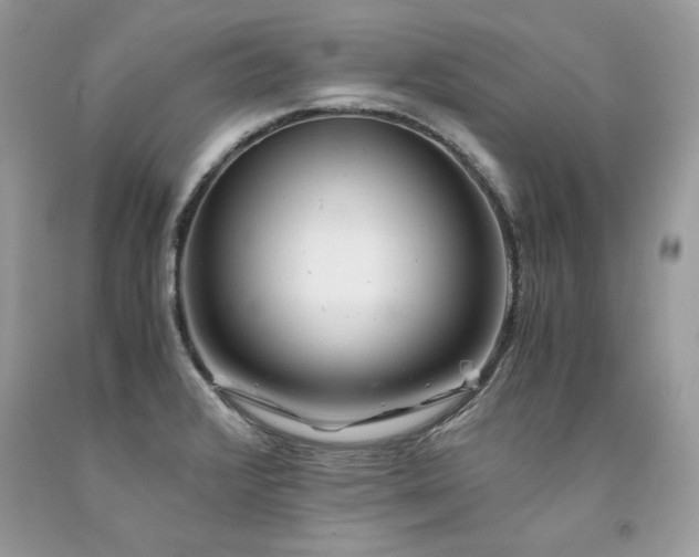 X0000094181376200710261122