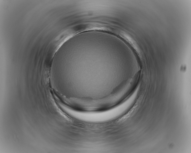 X0000094181377200710261122