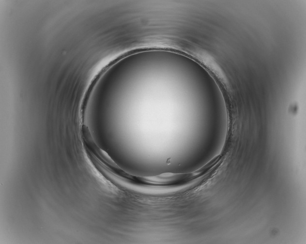 X0000094181380200710261122