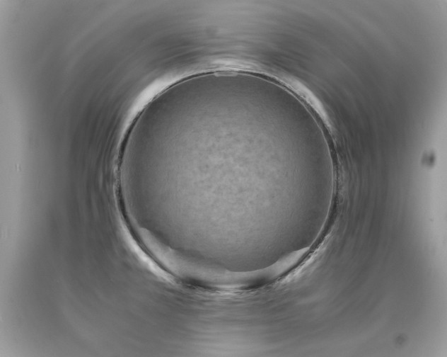 X0000094181381200710261122