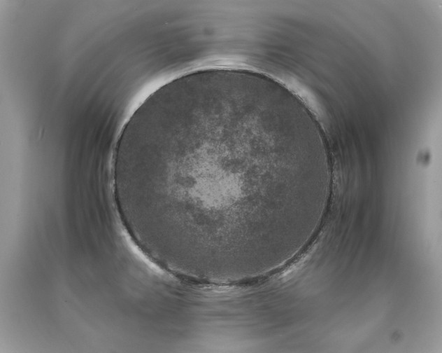 X0000094181382200710261122