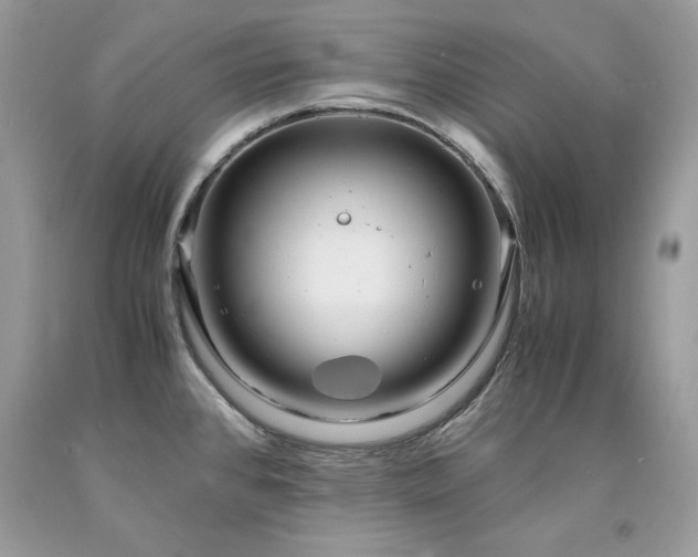 X0000094181384200710261122