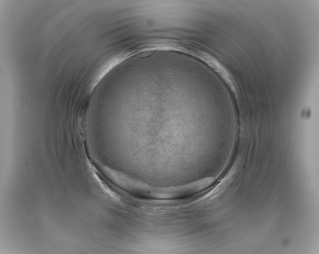 X0000094181385200710261122