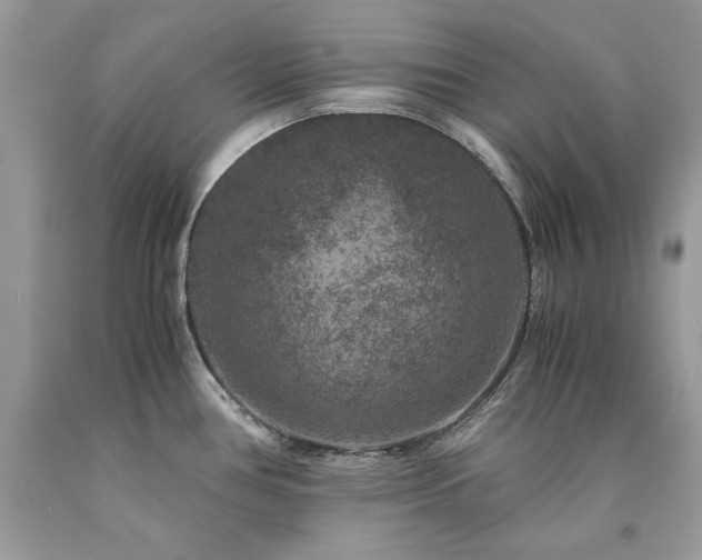 X0000094181386200710261122