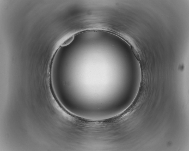 X0000094181387200710261122
