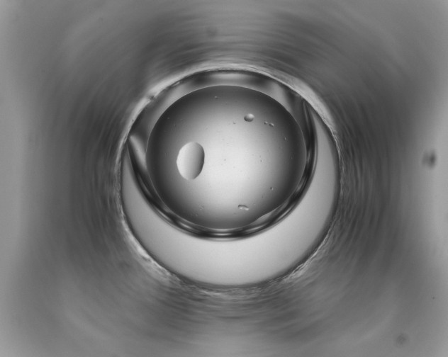 X0000094181388200710261122