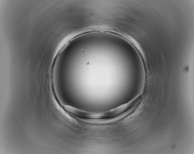 X0000094181389200710261122