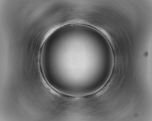 X0000094181390200710261122