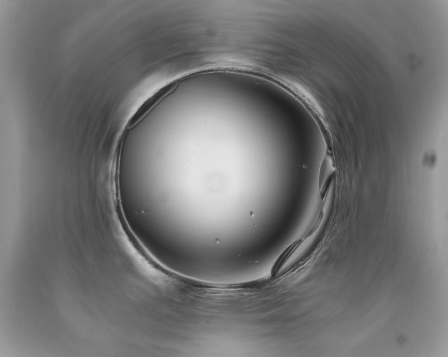 X0000094181391200710261122