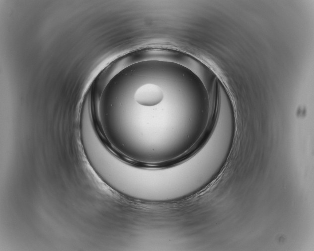 X0000094181392200710261122