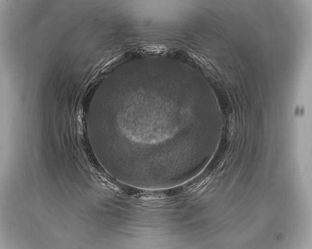 X0000094181394200710261121