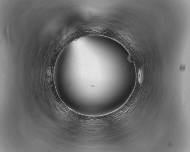 X0000094181395200710261121