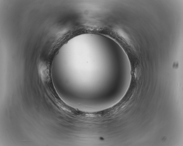 X0000094181396200710261121