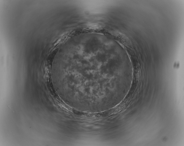 X0000094181397200710261121
