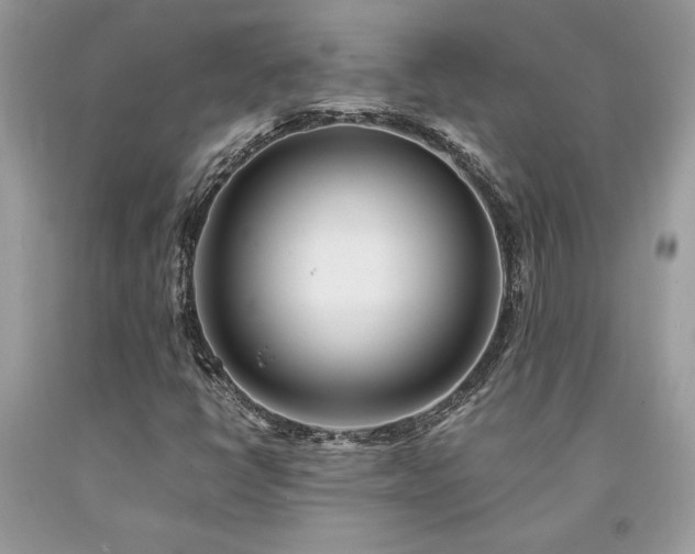 X0000094181398200710261121