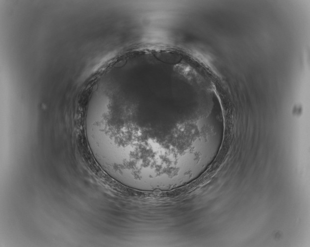 X0000094181399200710261121