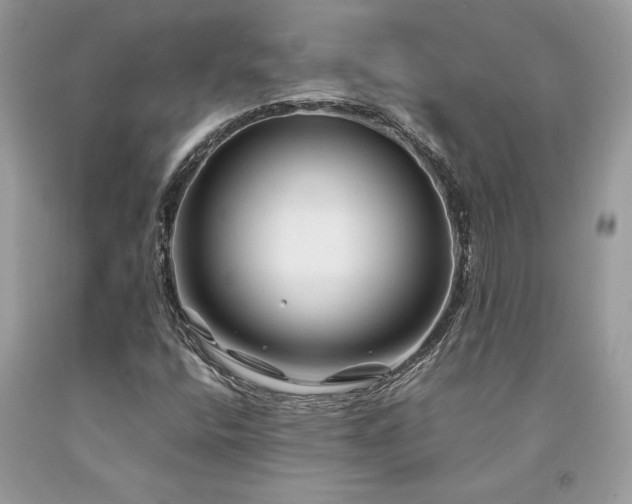 X0000094181400200710261121